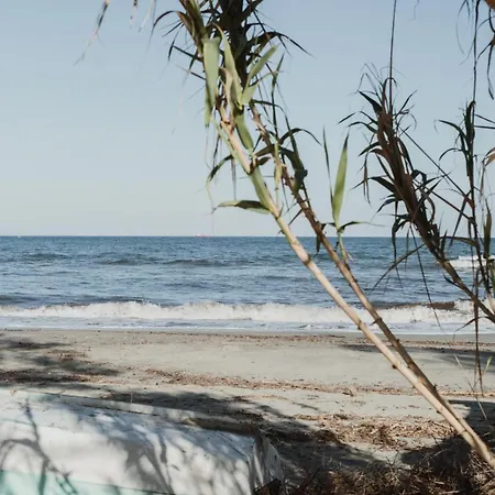 Caravane Janis On The *