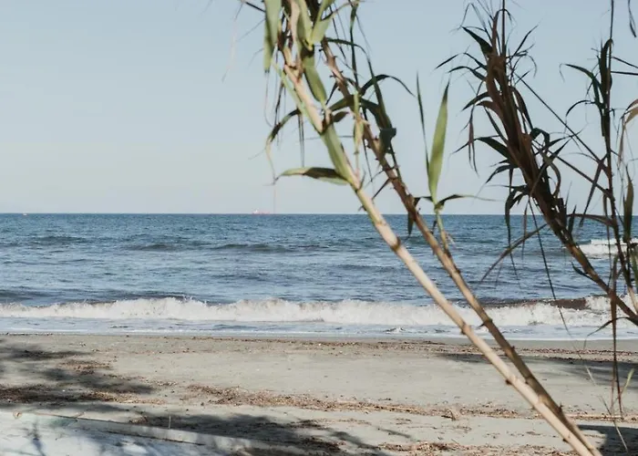 Caravane Janis On The *