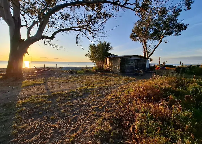 Caravane Janis On The Camping *